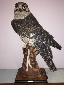 Armani Falcon